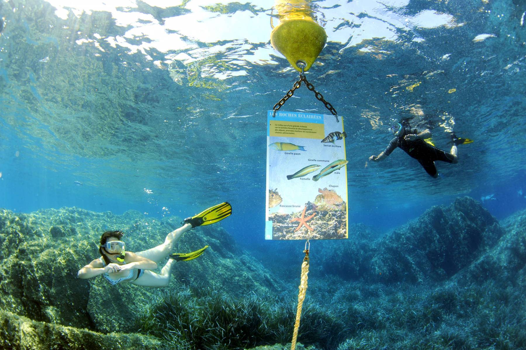 Unterwasserpfad am französichen Mittelmeer